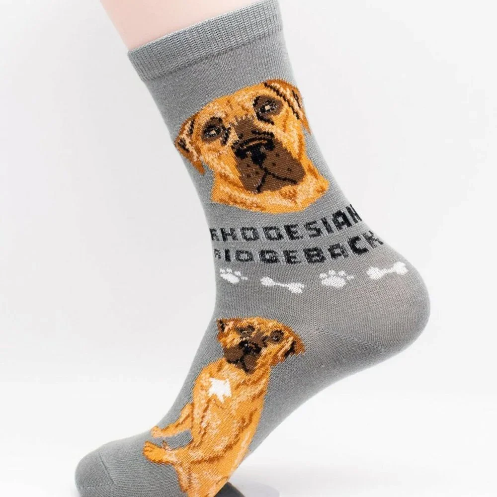 Rhodesian Ridgeback Dog Socks 2 Pairs Hunting Foozys Canine Puppy Cute Dogs